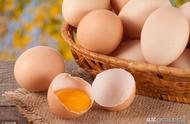 散养鸡蛋的优点和缺点（散养鸡蛋如何降低成本）