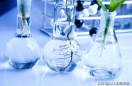磷酸二氢钾农作物用法（磷酸二氢钾的用处和用法）