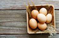 土鸡蛋和土鸡营销策划方案（土鸡土鸡蛋和普通鸡蛋的区别）
