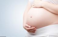 怀孕了吃鸡肉会影响胎儿吗（怀孕吃鸡肉对胎儿有什么影响）