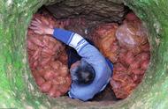 红薯挖回来怎么保存最好（秋季挖回来的红薯怎么保存）