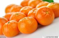 橘子和桔子有什么区别（柚子哪个品种最好吃）