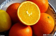 橘子平时需要放冰箱吗（橘子放冰箱保存还是放外面）