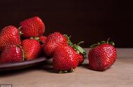 奶油草莓的种植方法（奶油草莓苗多少钱一棵）