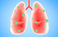 保护肺脏最好的三个方法（怎样对肺部保养最好）