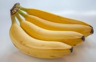 每天可以食用一根香蕉吗（每天吃一根香蕉有什么好处和坏处）