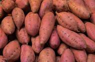 十大高淀粉红薯品种排行榜前十名（十大高产的红薯排名）