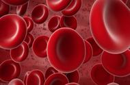 能促进红细胞生成的细胞因子（能抑制红细胞生成的是哪个激素）