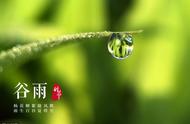 谷雨七绝古诗句（谷雨的七言古诗）