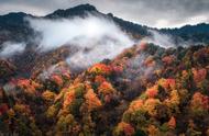 秦岭最低海拔多少米（秦岭海拔现在是升高还是降低）