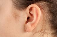 耳朵大的人长寿有科学依据吗（耳朵长的人长寿吗）