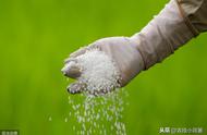 氮肥是大颗粒好还是小颗粒好（颗粒氮肥使用方法）