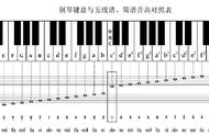 五线谱入门教学图（五线谱初学入门图解）