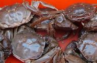 螃蟹杀了放冰箱可以放多久（螃蟹蒸熟了第二天还能吃吗）