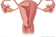 卵巢早衰早期是什么症状（卵巢早衰的早期表现）