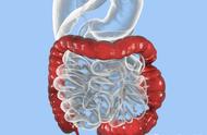 胃溃疡十二指肠溃疡的疼痛特点（胃溃疡疼和十二指肠溃疡疼痛规律）