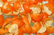 橘子皮粉末可以直接做肥料吗（橘子皮发酵什么肥料好）