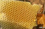 蜂蜜用什么装比较方便（蜂蜜一般用什么装最好）