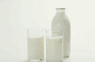 纯牛奶喝多了对身体有哪些危害（奶粉和牛奶哪个营养好）