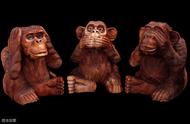 三只猴子电影讲了什么（三只猴子电影哪国语言）