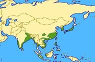 亚洲水稻种植业分布地区及特点（亚洲水稻种植现状）
