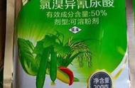 真菌细菌用什么消毒最好（真菌细菌最佳消毒方法）