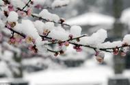 又是一年雪花飘的歌名（歌曲又是一年雪花飘）