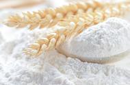 小麦粉可以替代面粉吗（小麦粉可以做什么美食）