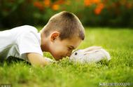 兔子年龄一年相当于人类几岁（兔子五个月相当于人类多少岁）