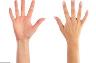 五个手指代表五脏图（五个手指对应的器官）