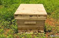新型土蜂箱制作（土养蜂箱制作尺寸）