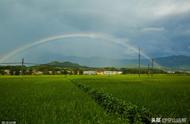 雨说郑愁予译文（雨说原文和翻译）