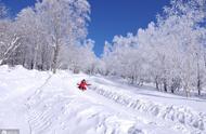 雪的散文随笔（雪的散文随笔300字）