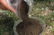 泥炭土和营养土是一样的么（泥炭土和营养土各自适合什么情况）