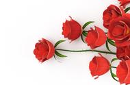16朵玫瑰花的花语是什么（16朵玫瑰花的花语代表什么）