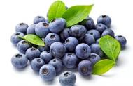 发热咳嗽能不能吃蓝莓（咳嗽有痰可以吃蓝莓吗）