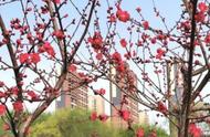 西安桃花潭风景区介绍（西安桃花潭游玩怎么样）