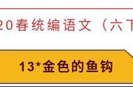 金色的鱼钩为题有什么深刻含义（金色的鱼钩简介表达了什么）