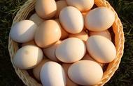 土鸡蛋怎么保存最新鲜（土鸡蛋保存方法有几种）