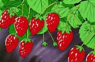 广州种草莓哪个月最适合（广东种草莓的最佳季节）