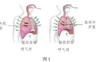 平行四边形有伸缩性吗（平行四边形什么特性可以任意伸缩）