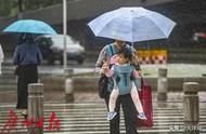 为什么下雨打雷不能在树下躲雨（为什么打雷时候不能躲到大树底下）