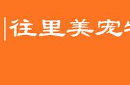 太仓犬大体好还是小体好（如何分辨太仓犬是大型还是小型呢）