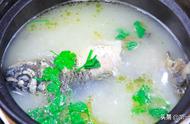 鲜鱼汤的制作方法（鲜鱼做汤的做法大全）