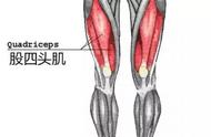 小腿萎缩恢复训练图（小腿萎缩恢复锻炼方法）