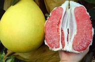 红柚子和白柚子有什么区别（红心柚和白柚子哪个好）
