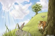 狐狸和兔子（小兔子与狐狸完整版）