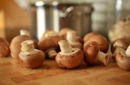 松茸菌菇的功效与作用及食用方法（松茸菌菇水有什么用）
