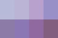 淡紫色搭配的3种颜色（紫色的最佳搭配是什么颜色）