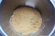 发酵玉米面煎饼的做法（烫面玉米面大饼子的做法）